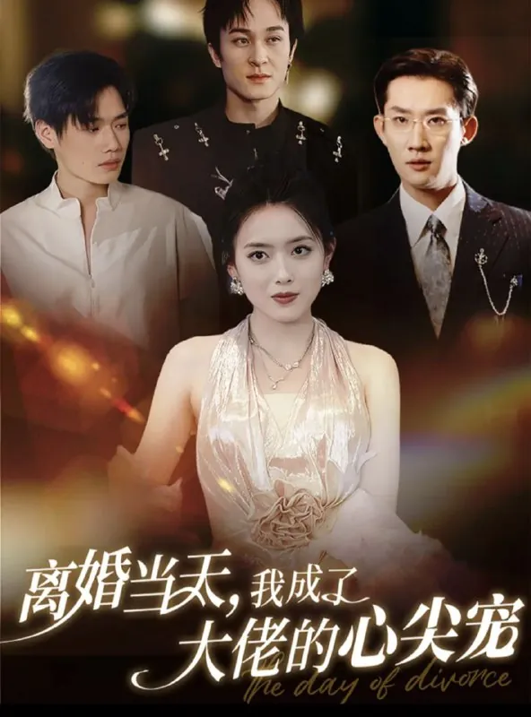 离婚当天我成了大佬的心尖宠
