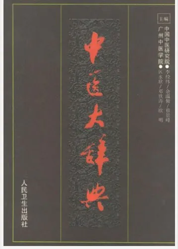 中医大辞典