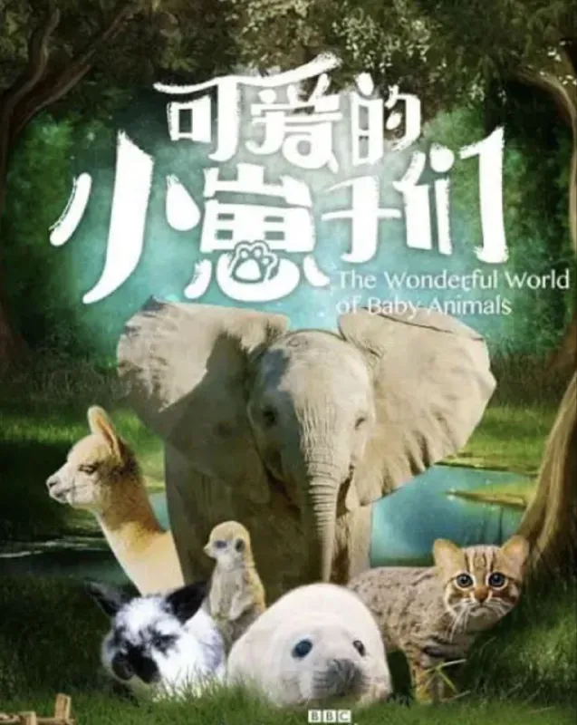 可爱的小崽子们