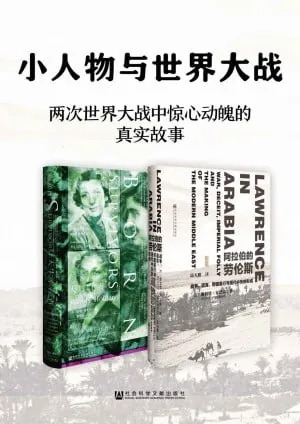 小人物与世界大战：阿拉伯的劳伦斯+天生幸存者