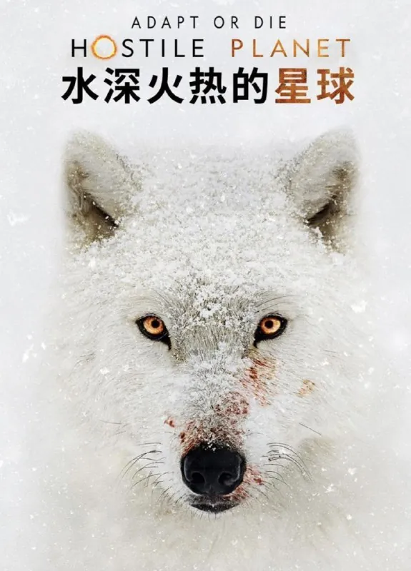 水深火热的星球