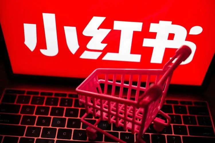 小红书电商陪跑日出百单选品
