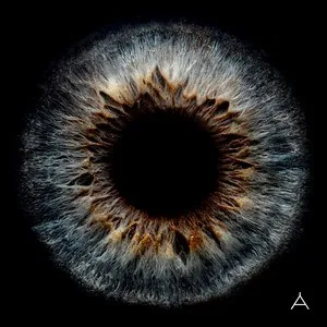 林宥嘉新专辑ApplesofThyEye（2025）