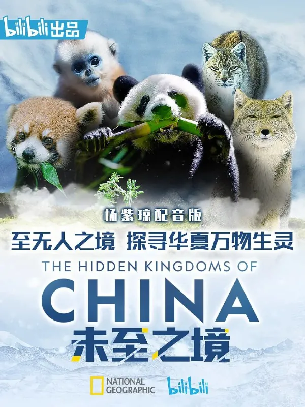 未至之境