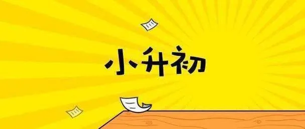 2025年新版小升初语文总复习专项知识点46套