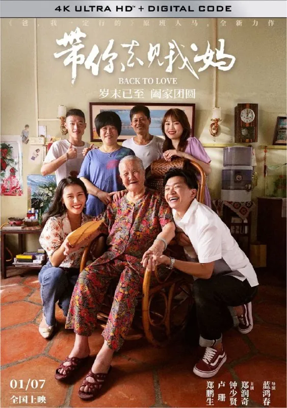 带你去见我妈